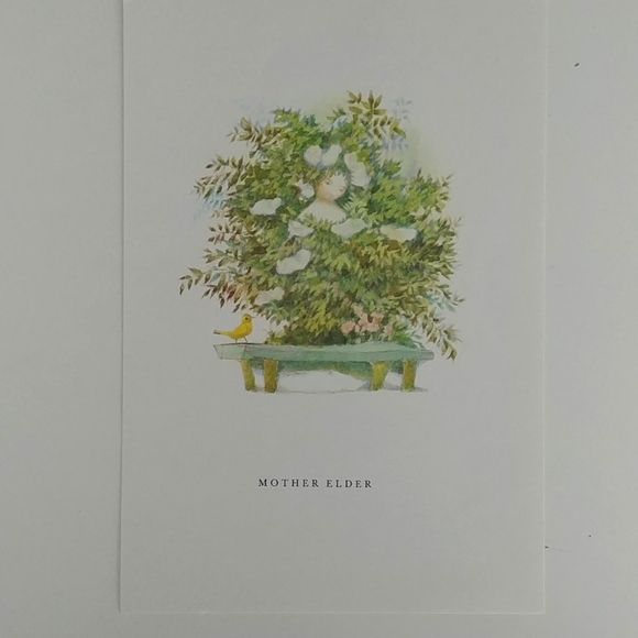 💙4/20 vintage Fairy tale illustration - Picture 1 of 4